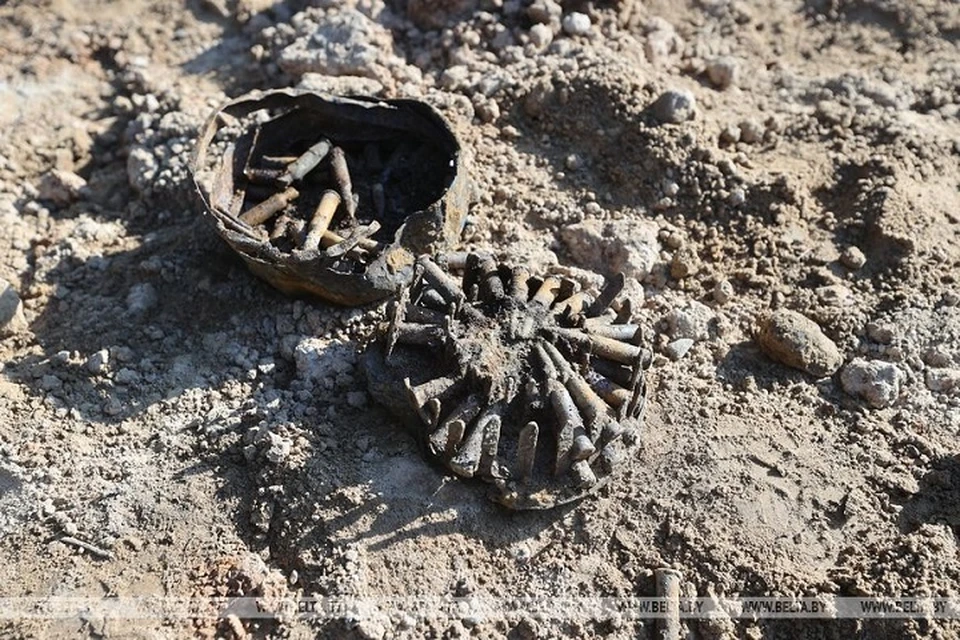 Под Зельвой нашли останки боевой машины времен второй мировой войны. Фото: БелТА.