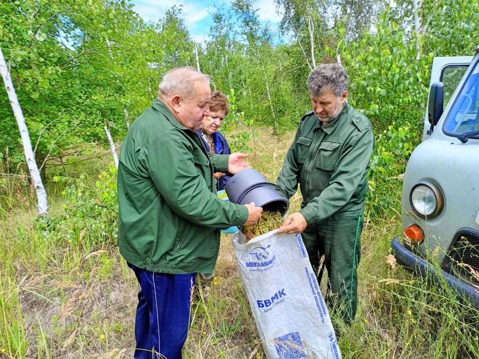 Фото - Правительство Воронежской области