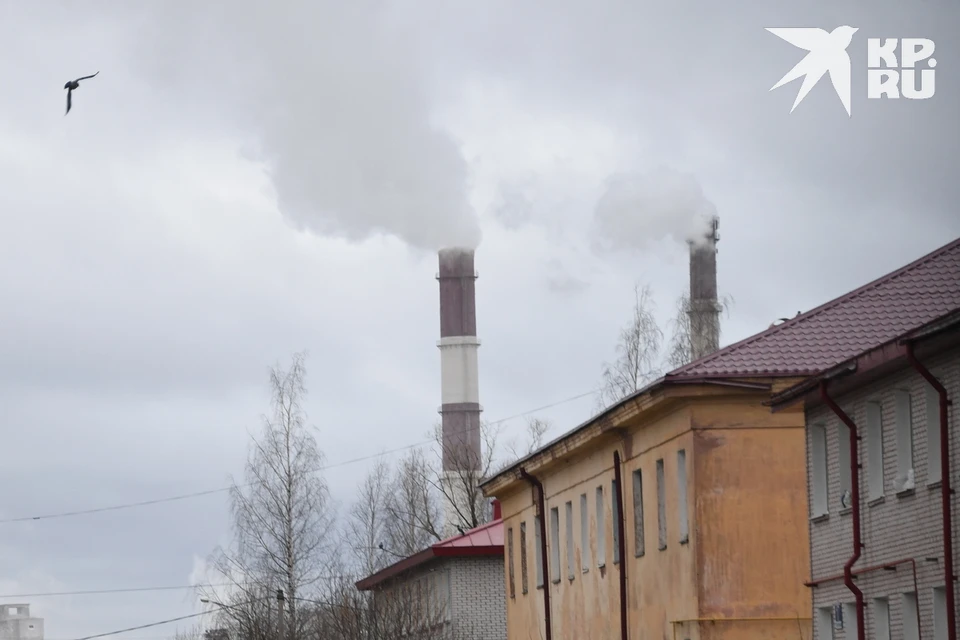 Указание возбудить уголовное дело насчет отравленного воздуха в пригороде Рязани глава СК России дал больше года назад.