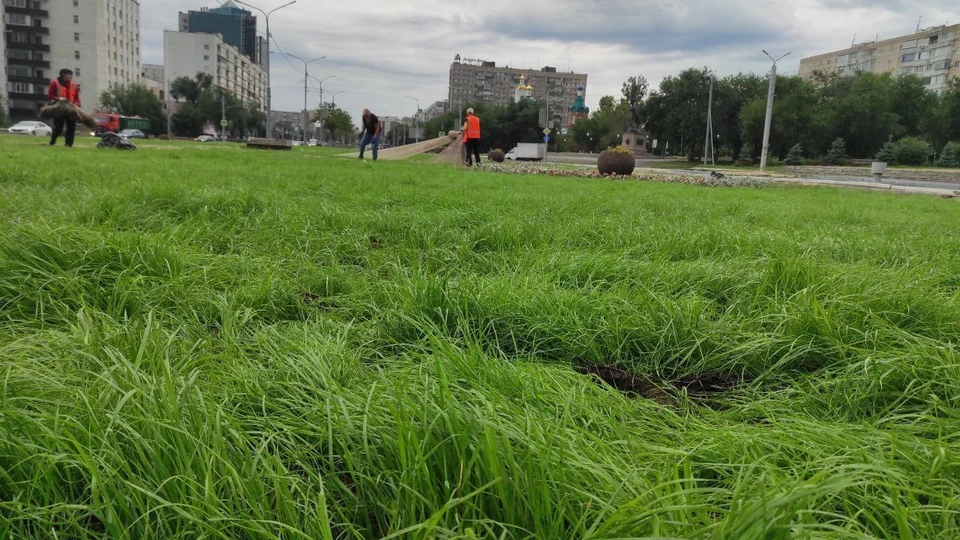 Ухаживать за лужайкой будут специалисты предприятия «БиОз»
