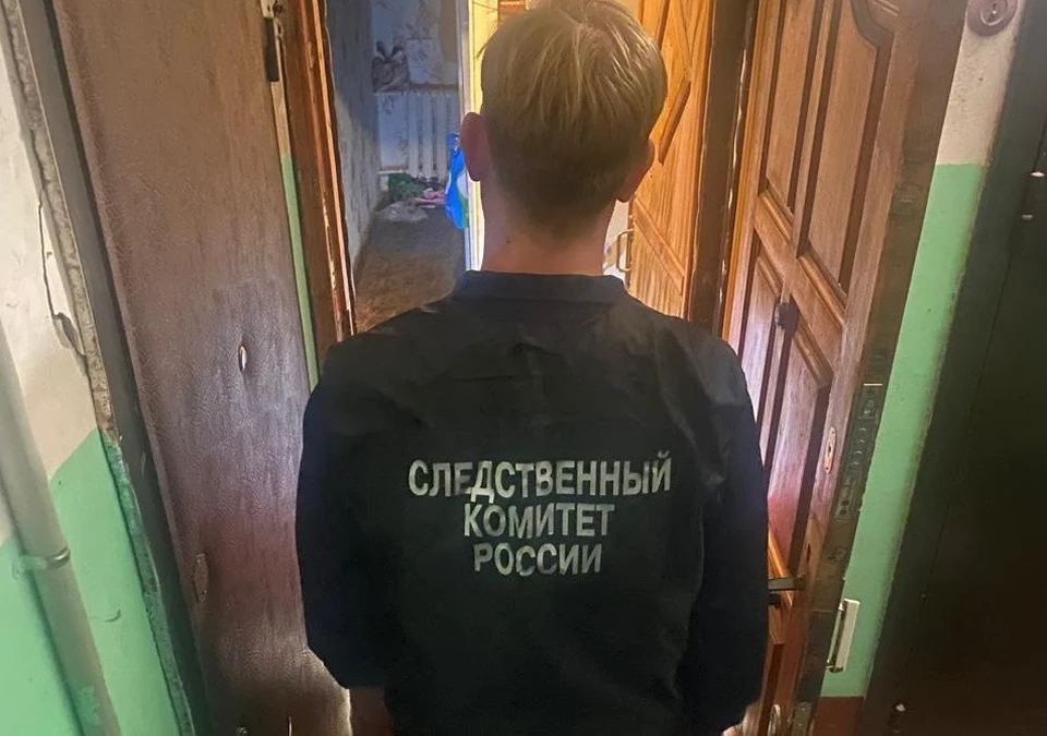 фото из телеграм-канала СУ СКР по Владимирской области