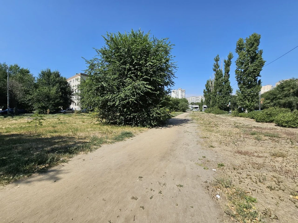 Заброшенную территорию превратят в зеленый сквер.