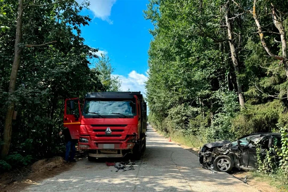 Полиция начала проверку. Фото: ГУ МВД России по Петербургу и Ленобласти