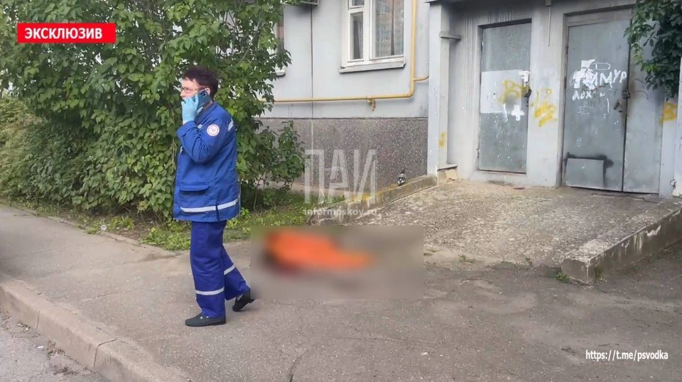 Фото: Telegram-канал «Псковская сводка».