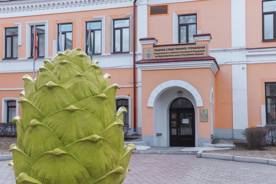 Следователи выясняют обстоятельства падения ребенка с пятого этажа.