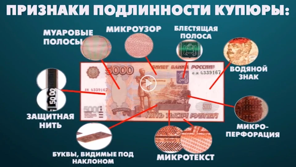 Фото: УМВД России по Владимирской области