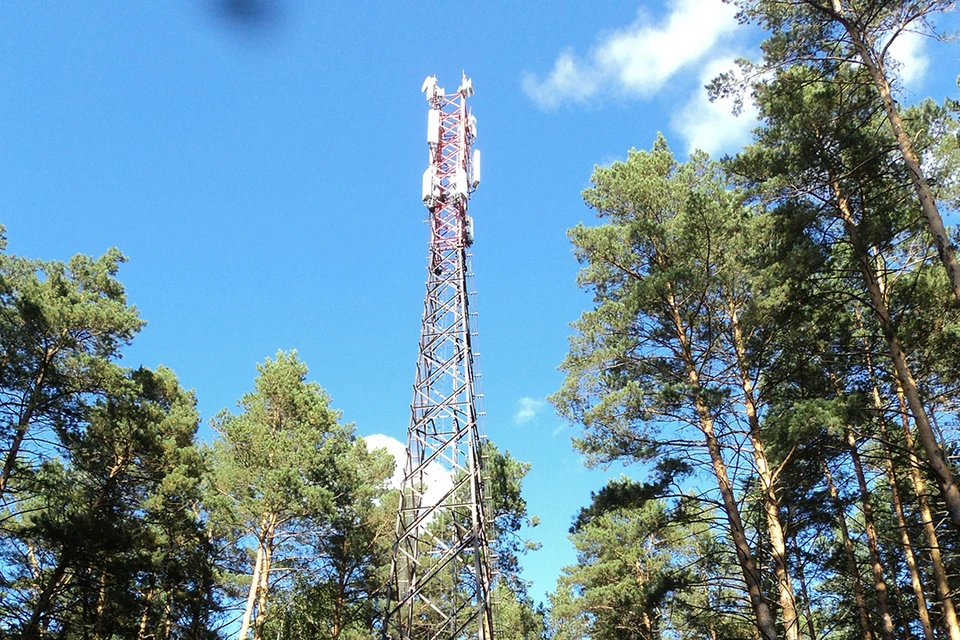 Фото: Отдел по работе со СМИ макрорегиона «Сибирь» Tele2