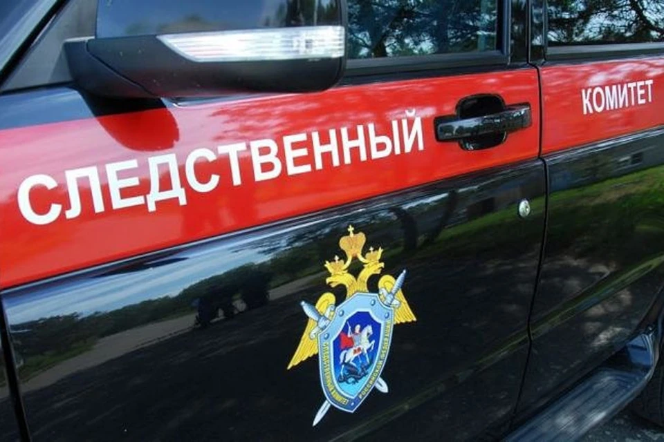 Председатель СК России запросил доклад по уголовному делу о хулиганских действиях жителя Тверской области. Фото: СК РФ