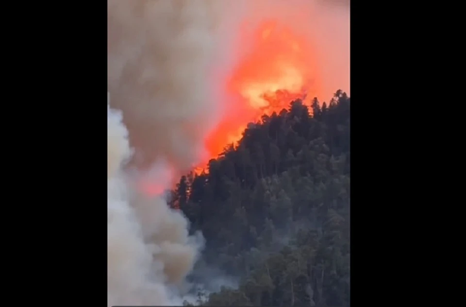 Фото: стоп-кадр видео