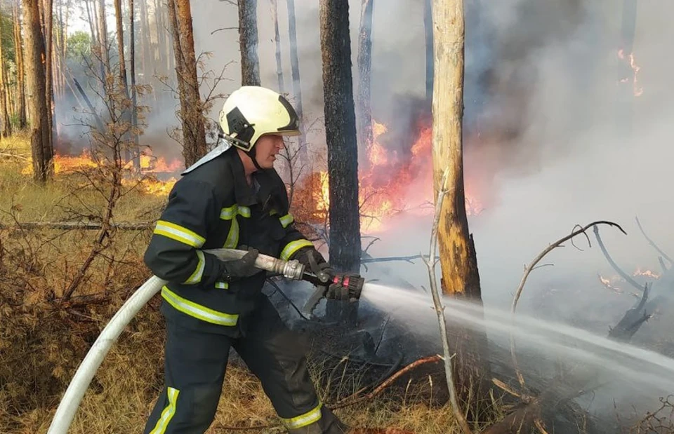 266,6 гектаров сухой травы, мусора, камыша и кустарника выгорело в ЛНР на 59 природных пожарах за минувшие сутки, 25 августа. Фото - МЧС ЛНР