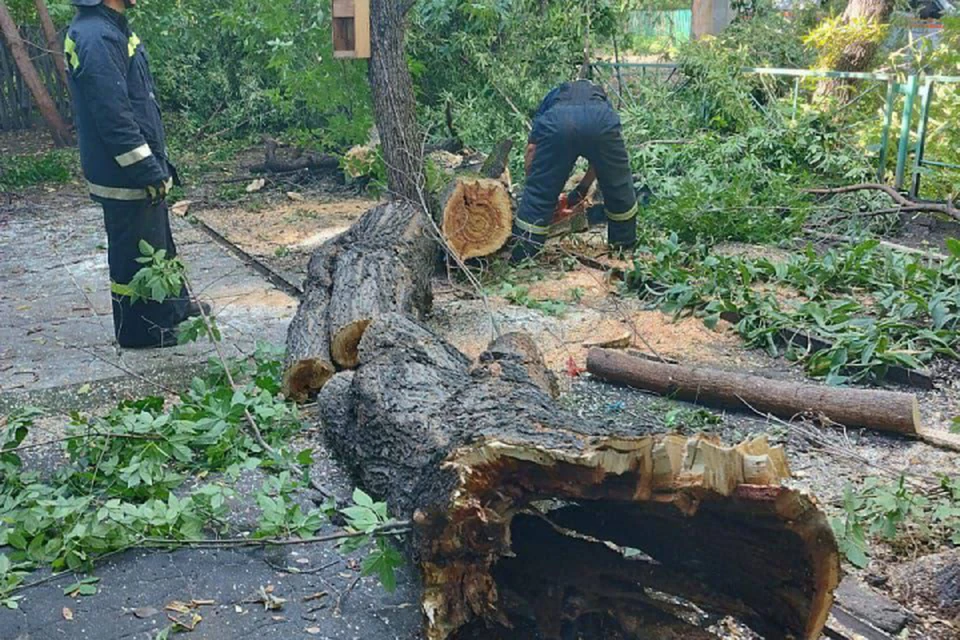 Дорожники убирают поваленные деревья и ветви после непогоды в Иркутске.