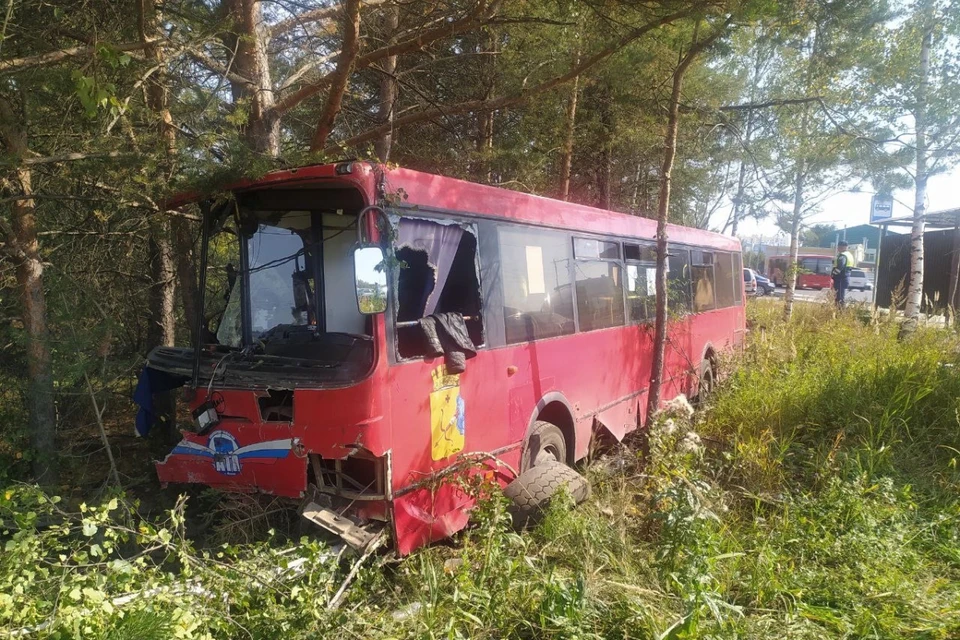 В результате ДТП пострадали три человека. Фото: ГИБДД Кировской области