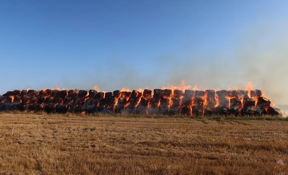 На поле в Кричевском районе сгорело 120 тонн соломы. Фото: МЧС.