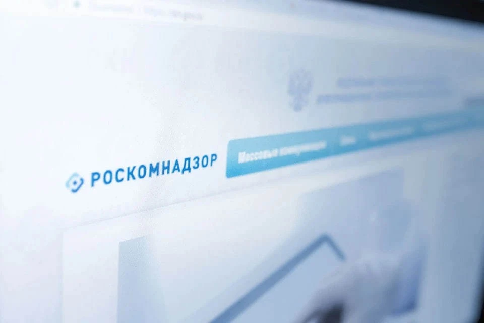 Роскомнадзор объяснил удаление проекта о регистрации блогеров