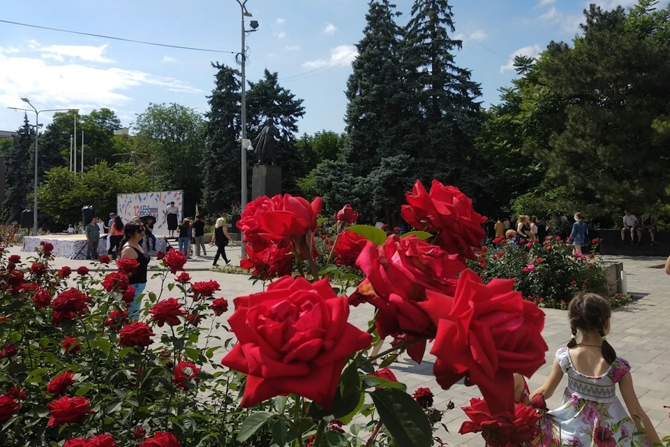 Жара начнет спадать в воскресенье.