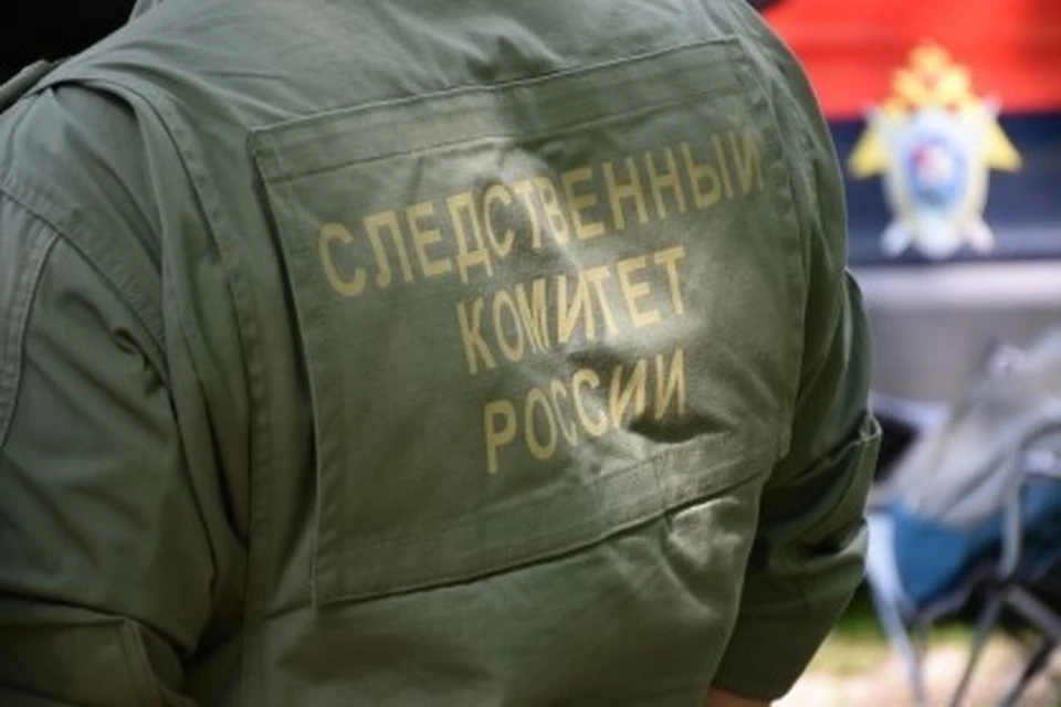 Фото: Пресс-служба регионального СК