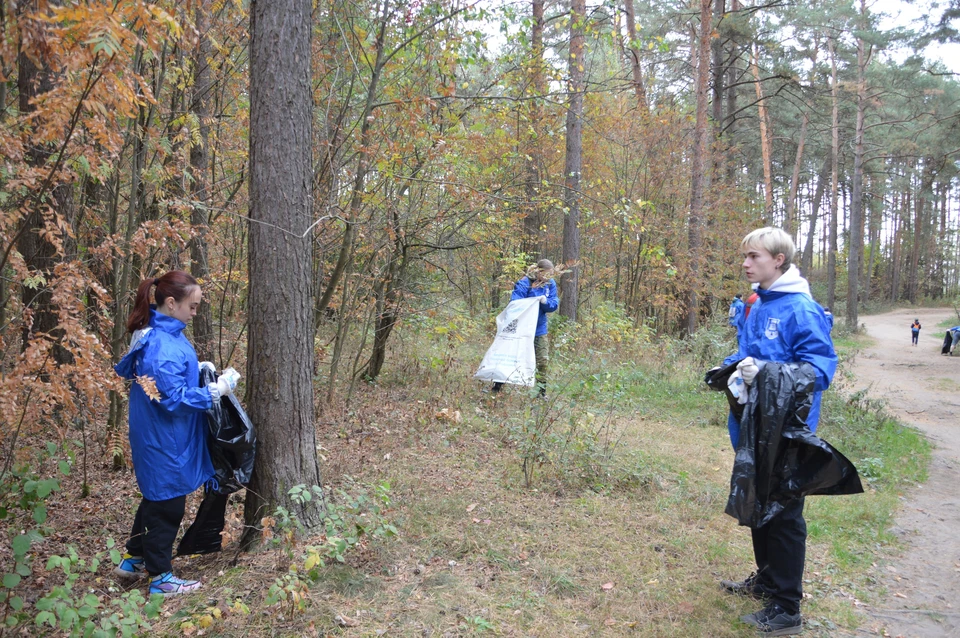 В том числе уборки прошли в некоторых парках. В субботники поучаствовали студенты. Фото: администрация Твери