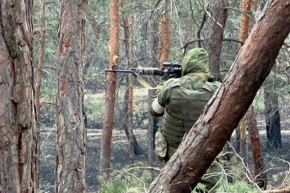 Группировка войск Центр продолжает продвигаться в глубину обороны ВСУ в ДНР (архивное фото)