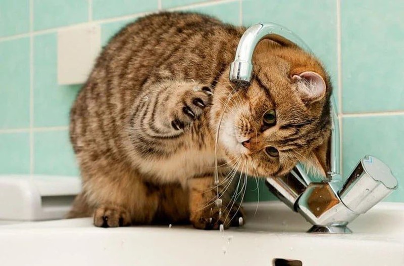 Некоторые жители сектора Центр останутся завтра без воды. Фото:соцсети