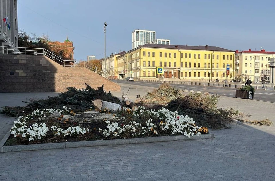 На Советской площади в Уфе срубили две опасные ели.