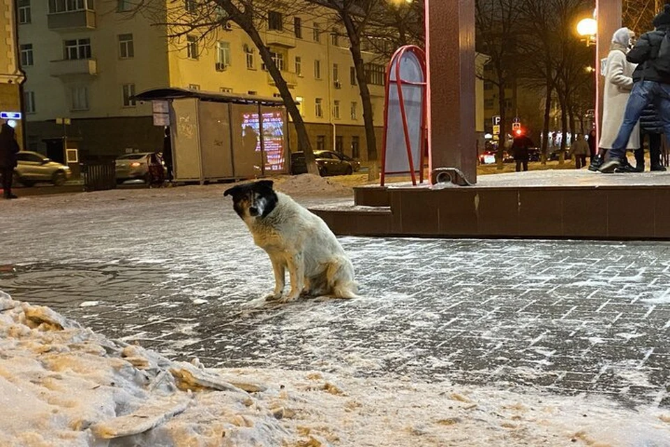 На Тюмень и область вместе с похолоданием идет мощный затяжной снегопад.