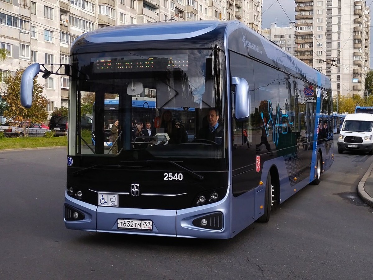 Қыздар мен ойыншықтардың фотосы