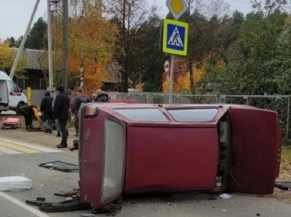 Фото: УМВД по Вологодской области.