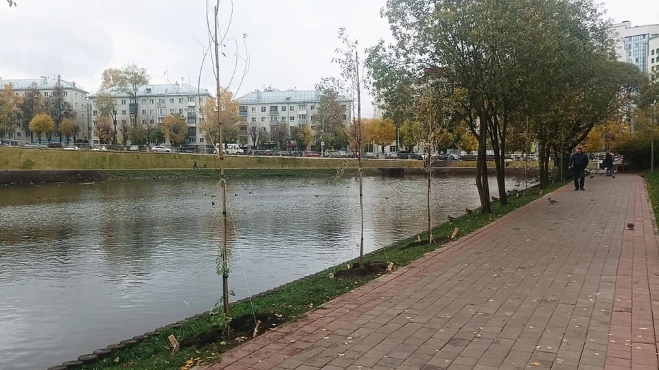 Фото: пресс-служба администрации Кирова