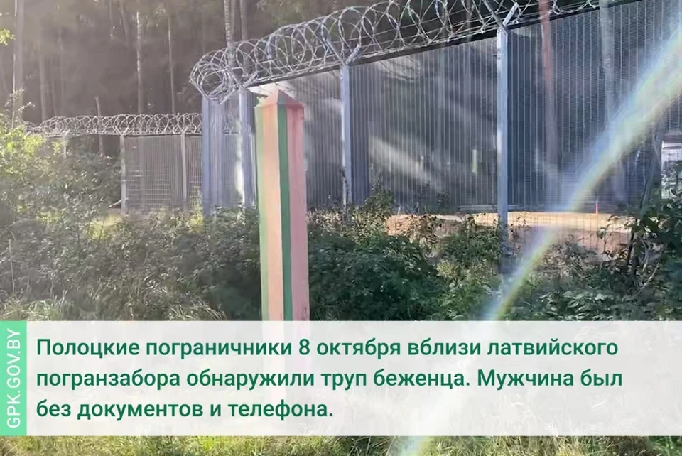 Полоцкие пограничники обнаружили тело беженца у латвийского пограничного забора. Фото: стоп-кадр | видео ГПК.