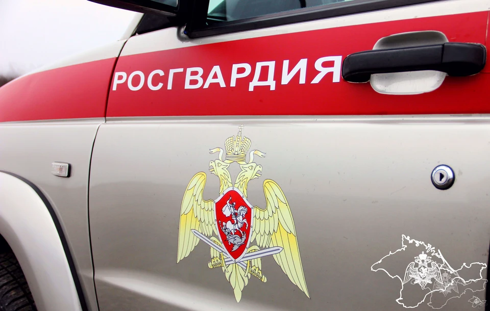Помощь пришла вовремя. Фото: 82.rosguard.gov.ru