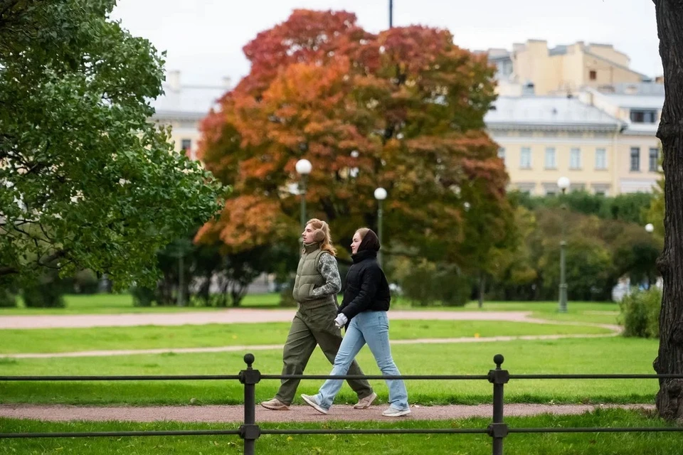 Первая декада октября в Петербурге стала самой холодной с 2019 года.