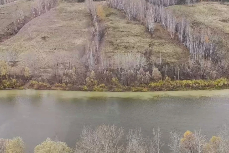 Новосибирцы жалуются на желтые разводы у берега Ини. Фото: скриншот из видео, предоставленного жителем Первомайского района