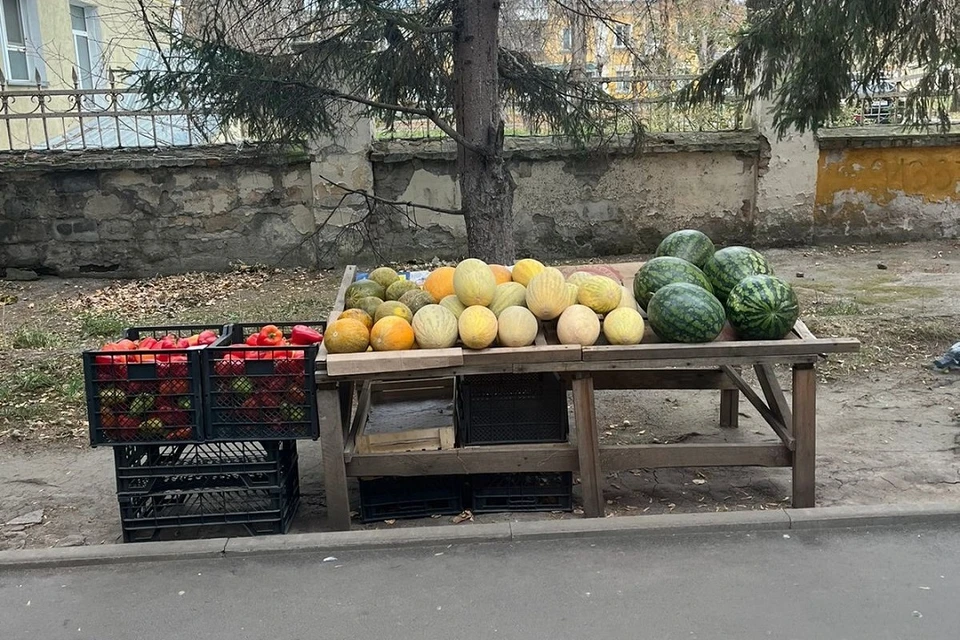 У новосибирских торговцев-нелегалов изъяли более 200 килограммов овощей и фруктов. Фото: Мэрия Новосибирска.