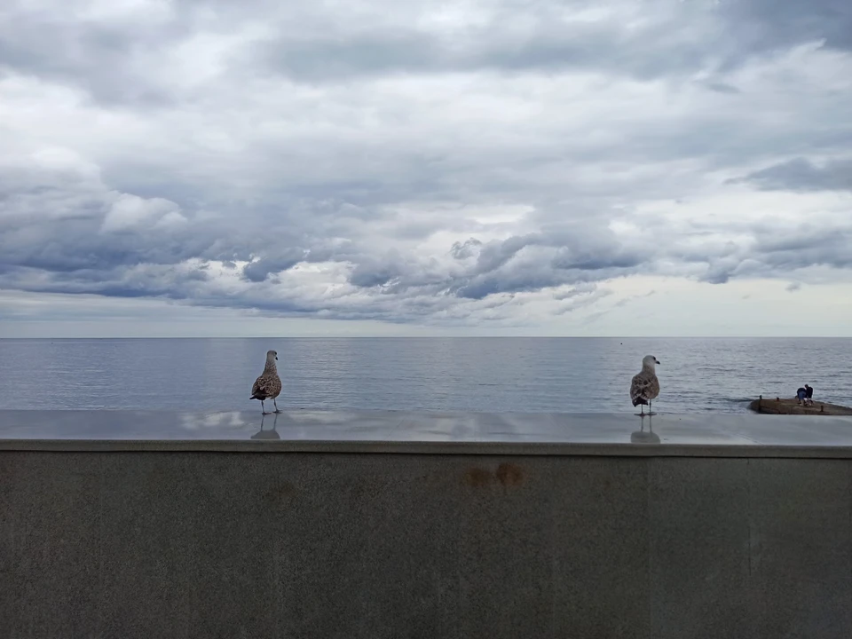 Спасатели просят не выходить в море во время действия штормового предупреждения