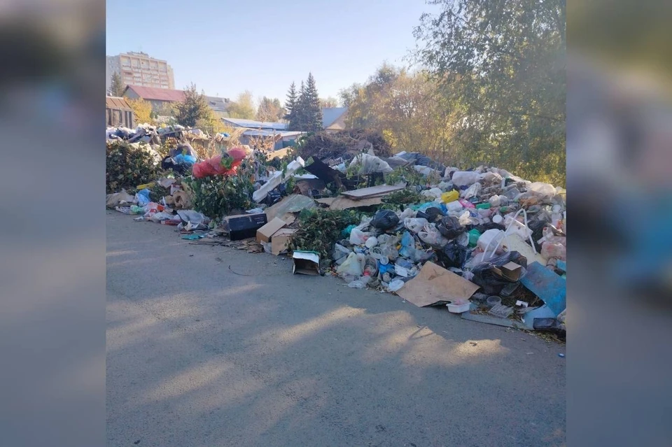 Свалку иногда убирают, но она тут же появляется и быстро растет.