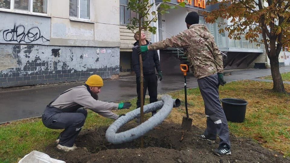 Фото: администрация Саратова