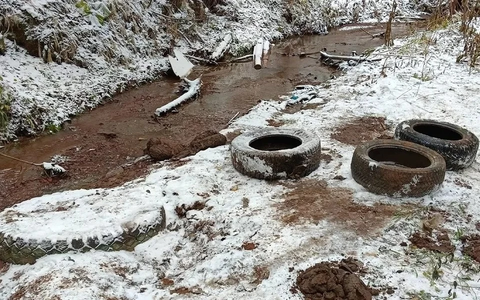 Покрышки рядом с рекой. Фото: Максим Александров