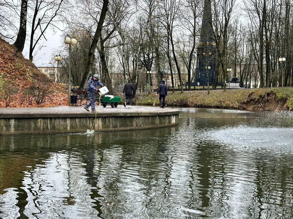 В Смоленске в пруд «Лопатинского сада» добавили очистителя воды. Фото: соцсети мэра Смоленска Александра Новикова.