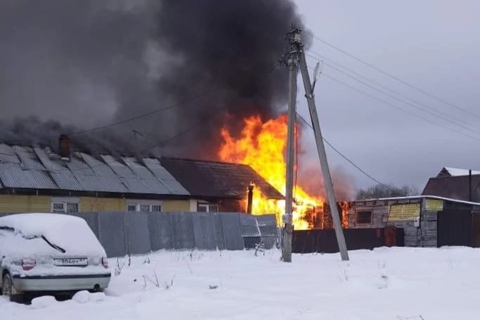 Фото: администрация Добрянского городского округа