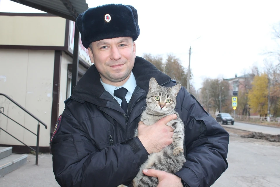 Кот жив, с ним все в порядке, но немного в шоке от произошедшего.