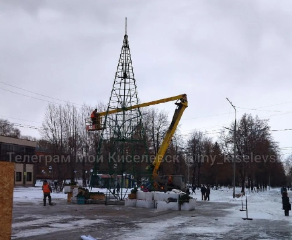 В ближайшее время они начнут украшать его пышными ветками, а затем и гирляндами, шарами. Фото: соцсети