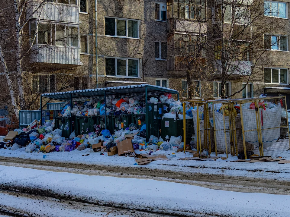 Фото: Дмитрий Еланаков/BFM-Томск