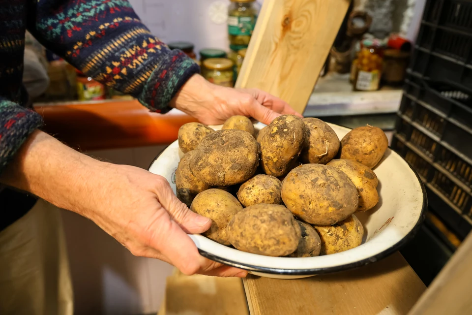 Самый дешевый картофель продается в Миллерово.