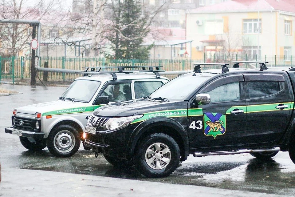 Специалисты прибыли в поселок для отлова тигра. Фото: Минприроды Приморья