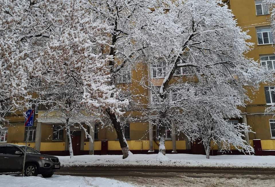 Потепление до +1 градуса и дождь со снегом придут в Нижний Новгород в выходные.