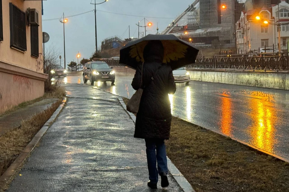 В крупных городах можно заметить разные виды осадков.