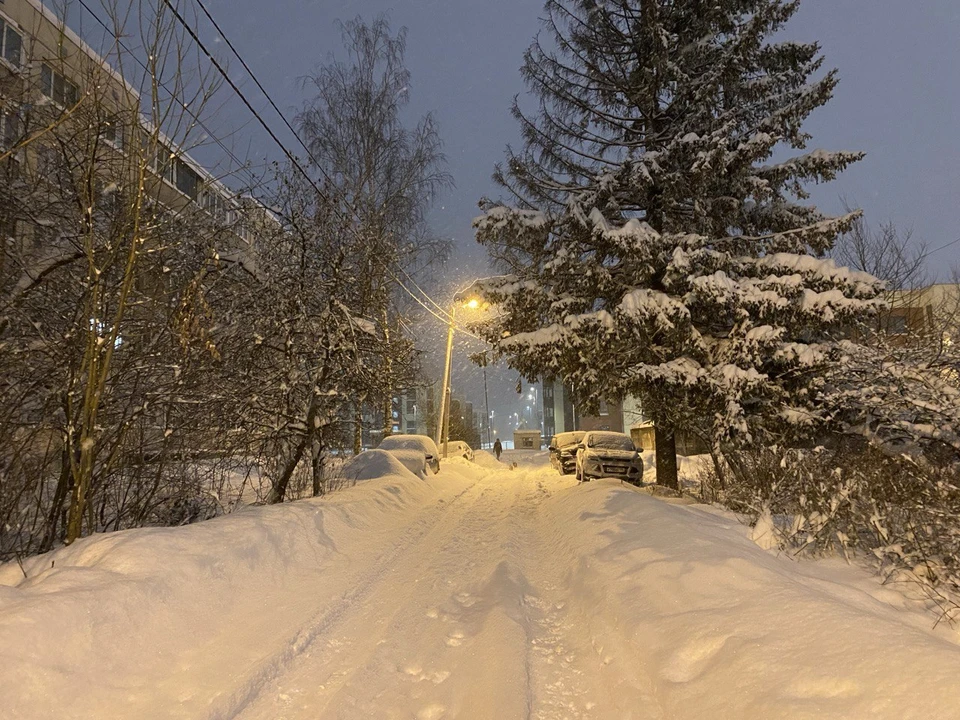 Для Тюмени появился прогноз погоды в новогоднюю ночь.