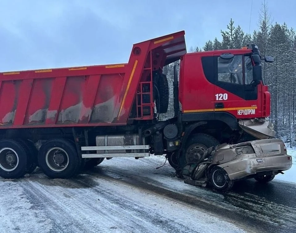 Фото: Дмитрий МАКСИМЧУК