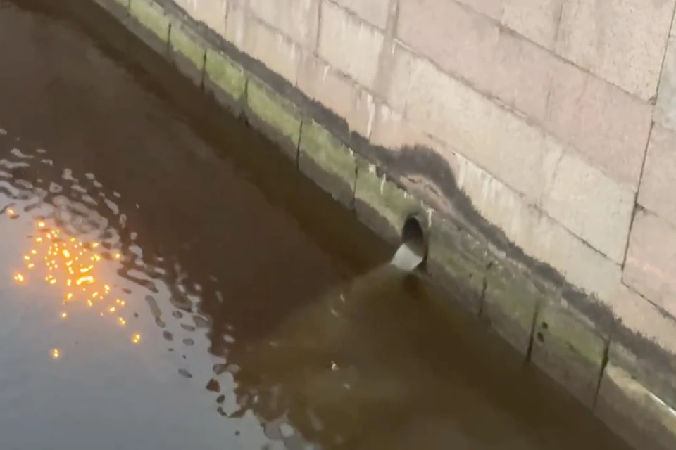 В Фонтанку сливают грязную воду. Фото: Северо-Западное Управление Росприроднадзора