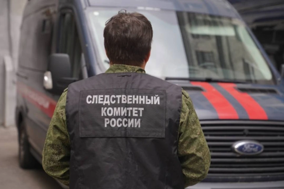 Следком начал проверку по факту избиения педиатра в Иркутске.